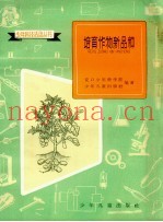 培育作物新品种：交口少年科学院种植活动介绍