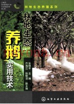 林地生态养鹅实用技术