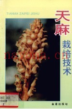 天麻栽培技术