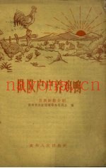 队队户户养鸡鸭  养禽经验介绍