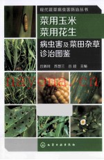菜用玉米菜用花生病虫害及菜田杂草诊治图鉴