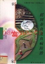 稻田养鱼及鱼病防治