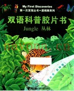 丛林  英汉对照