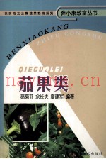保护地无公害蔬菜栽培系列  茄果类