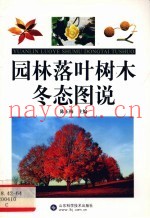 园林落叶树木冬态图说