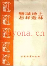 盐碱地上怎样造林