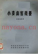 小麦病害概要