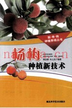 杨梅种植新技术