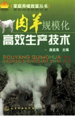 肉羊规模化高效生产技术