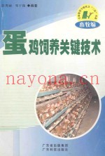 蛋鸡饲养关键技术