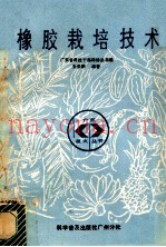 橡胶栽培技术