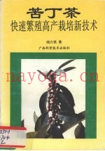 苦丁茶快速繁殖高产栽培新技术