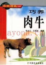 巧养肉牛