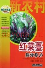 红菜薹栽培技术