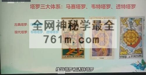 A2447徐洪先36天塔罗孵化营视频19集