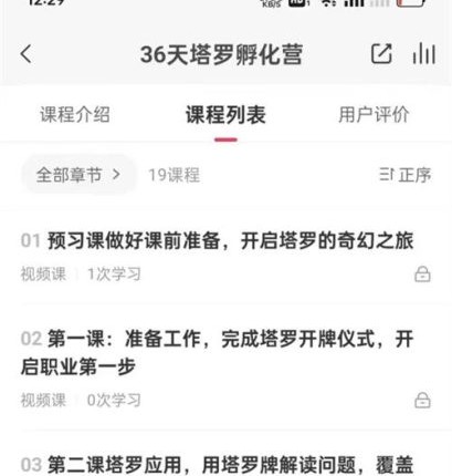 A2447徐洪先36天塔罗孵化营视频19集