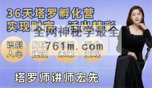 A2447徐洪先36天塔罗孵化营视频19集