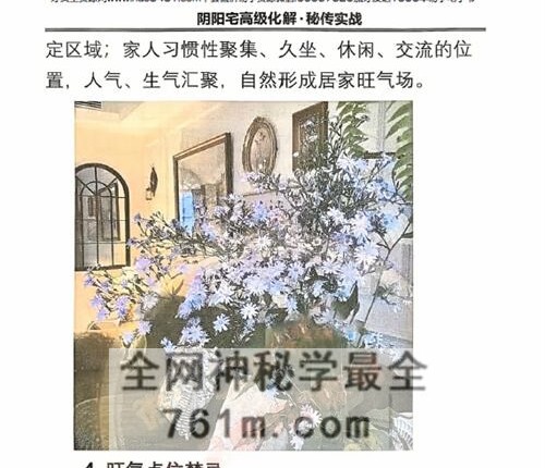 G1758刘玉庚《阴阳宅高级化解秘传实战》现代PDF电子书 130页