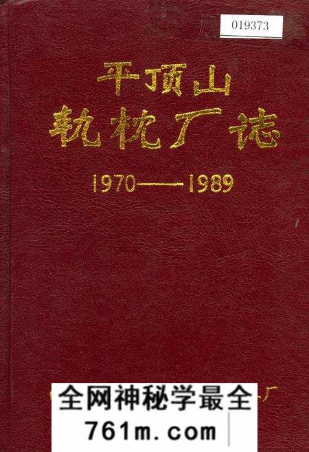 《平顶山轨枕厂志》.pdf电子版_河南省志预览图