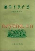 绵羊冬季产羔