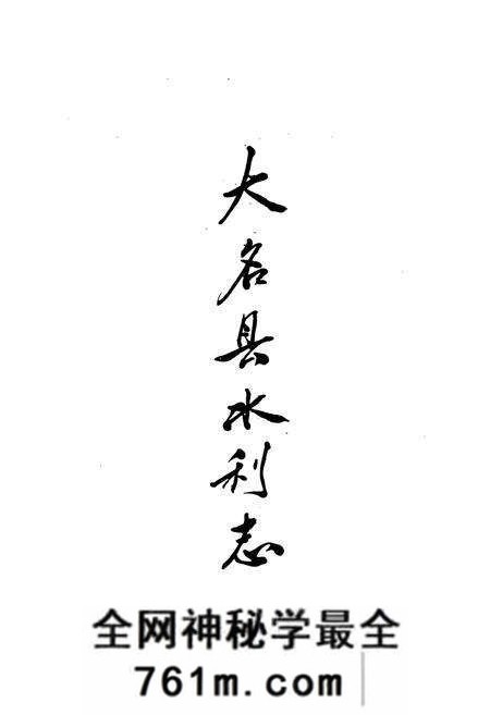 《大名县水利志》.pdf电子版_河北省志预览图1