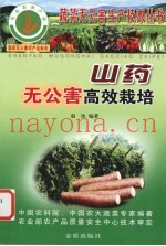 山药无公害高效栽培