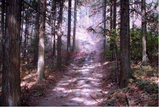 浙江遂昌县越野路线