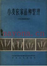 小麦农家品种整理  河北省南部地区