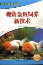 观赏金鱼饲养新技术  1