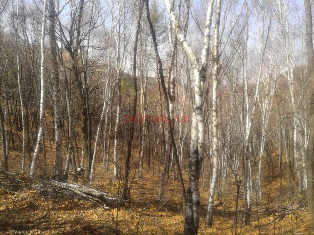 北京云蒙山黑龙密境徒步路线(云蒙峡+天仙瀑+京都第一瀑+黑龙潭+北石城+天池峡谷+七道沟+白道峪)
