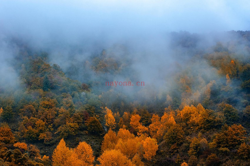 山西庞泉沟云顶山自驾穿越路线