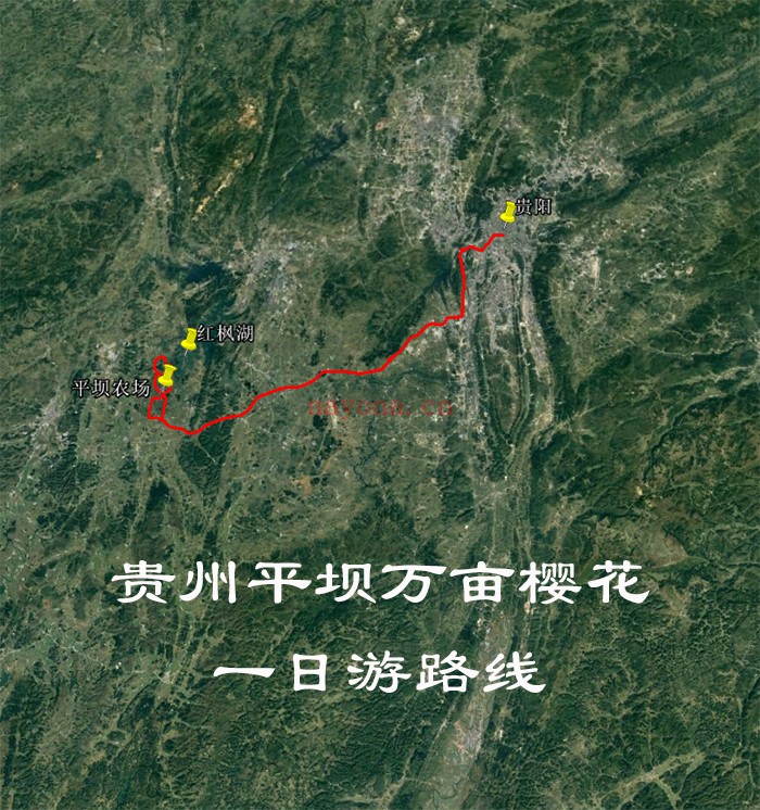 贵州平坝万亩樱花一日游路线