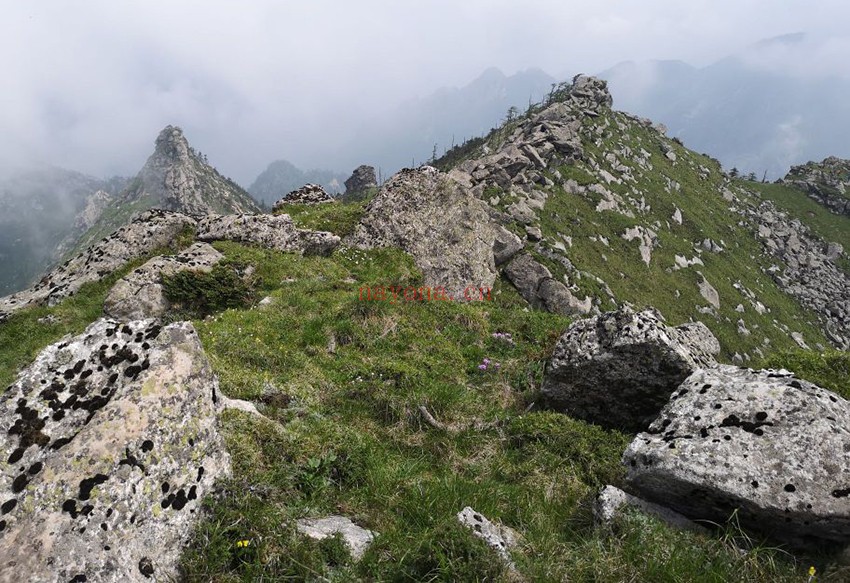 陕西秦岭终南山冰晶顶-跑马梁-光头山徒步路线 (鸡窝子+鹿角梁+兵马营+朱雀)