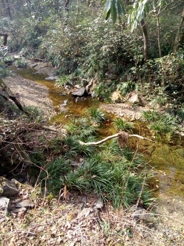 安徽黄山乾隆古道徒步路线