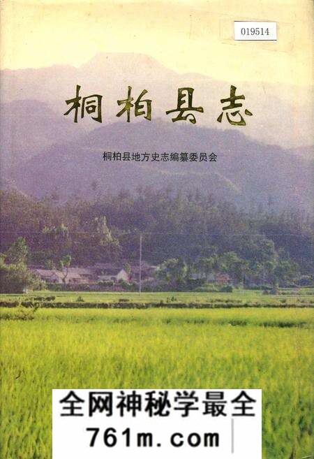 《桐柏县志》.pdf电子版_河南省志预览图