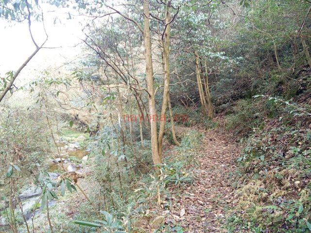 安徽黄山乾隆古道徒步路线