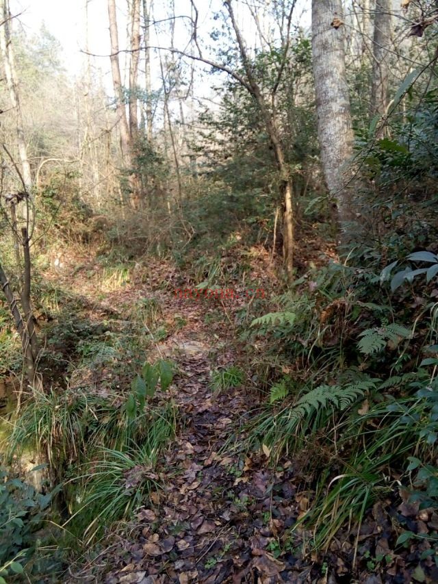 安徽黄山乾隆古道徒步路线