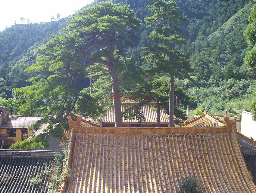 河北宣化雷达基地、黄羊山二日游路线