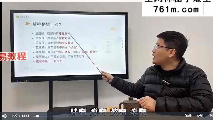 南岛内家脏腑按摩训练营 理筋术+理论+实操课 视频89集