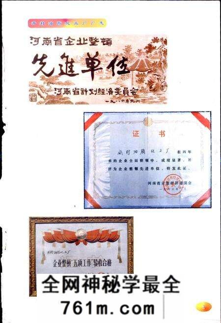 《开封油脂化工厂厂志》.pdf电子版_河南省志预览图5