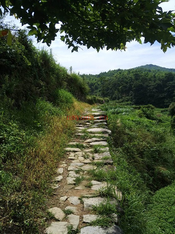 浙江余姚燕窝古道徒步路线