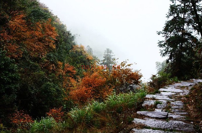 安徽黄山箬岭古道 歙旌古道徒步路线