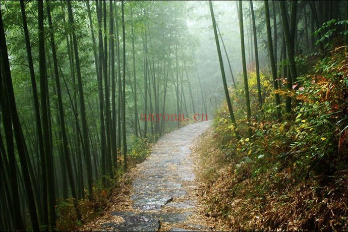 安徽黄山箬岭古道 歙旌古道徒步路线
