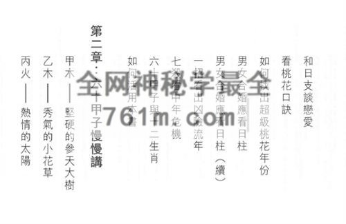A2453潘乐德十神启示录：一柱论命泄天机-现代-PDF电子书384页