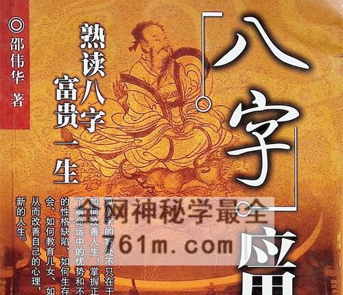 A2449八字应用与实例PDF电子书386页