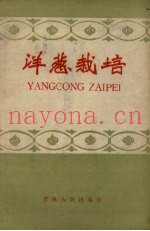 洋葱栽培