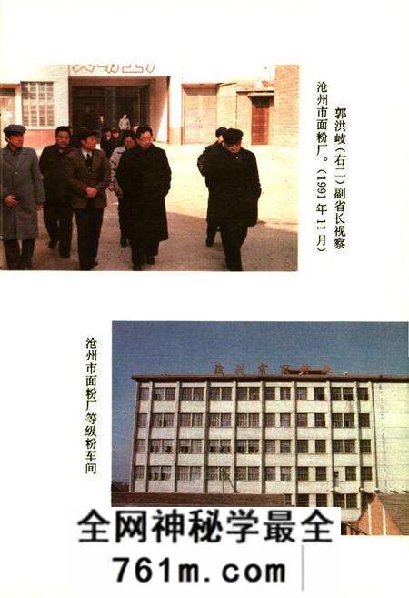 《沧州市粮食志》.pdf电子版_河北省志预览图4 《沧州市粮食志》.pdf电子版_河北省志预览图4