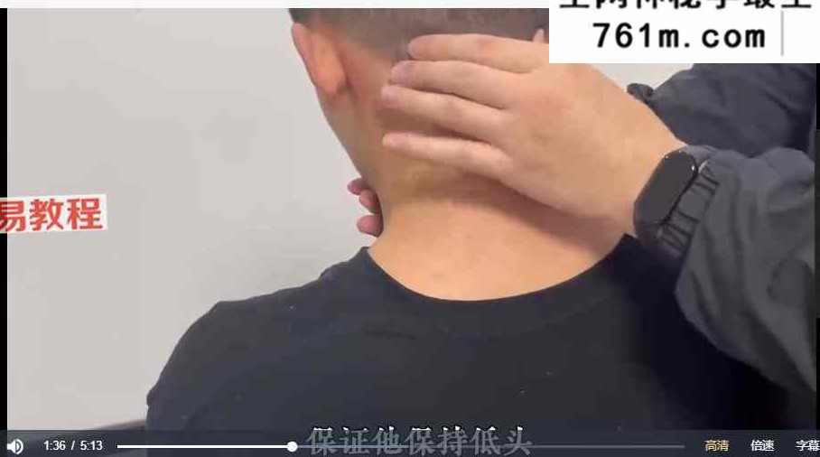 南岛内家脏腑按摩训练营 理筋术+理论+实操课 视频89集