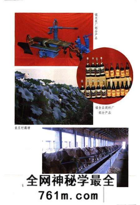 《源潭镇志》.pdf电子版_河南省志预览图5