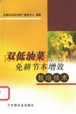 双低油菜免耕节本增效栽培技术